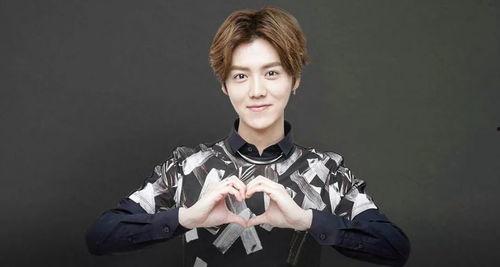 天涯论坛爆料娱乐圈鹿晗,揭秘明星背后的真实故事 第2张 天涯论坛爆料娱乐圈鹿晗,揭秘明星背后的真实故事 第2张