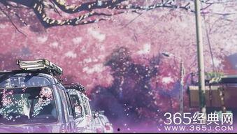 秒速5厘米电影在线观看,爱情与距离的细腻描绘