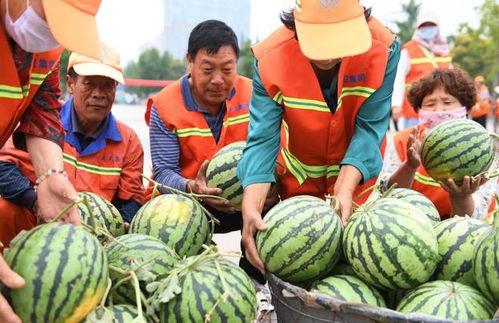 临沂吃瓜网红事件,揭秘网络舆论的风暴与真相 第3张 临沂吃瓜网红事件,揭秘网络舆论的风暴与真相 第3张