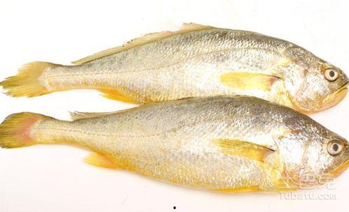 小黄鱼爆料新闻视频播放,揭秘新闻视频背后的真相 第3张 小黄鱼爆料新闻视频播放,揭秘新闻视频背后的真相 第3张