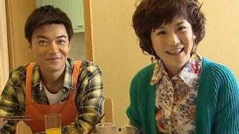 孽债在线观看,揭秘家族恩怨的悲情史诗