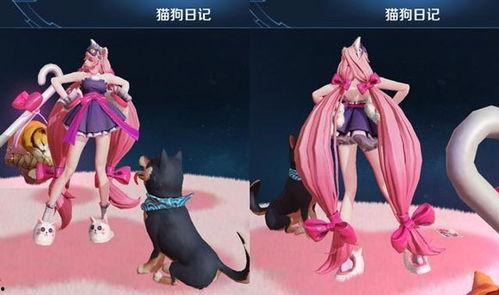 大乔猫狗爆料视频大全集,揭秘视频大全集精彩瞬间 第2张 大乔猫狗爆料视频大全集,揭秘视频大全集精彩瞬间 第2张