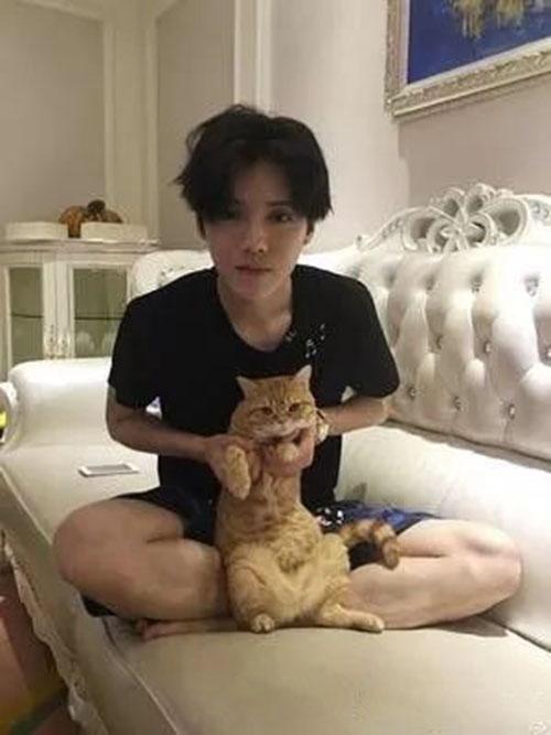 鹿晗豪宅爆料视频大全最新,豪华设施与生活品味一览无余