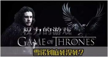 权力的游戏5在线观看,权谋巅峰,命运交织 第3张 权力的游戏5在线观看,权谋巅峰,命运交织 第3张