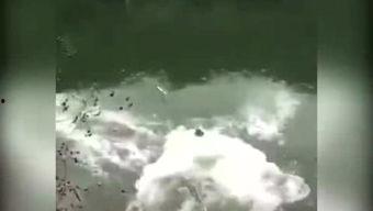 霸篮少年在线观看,热血青春,篮球梦想的激荡之旅 第3张 霸篮少年在线观看,热血青春,篮球梦想的激荡之旅 第3张