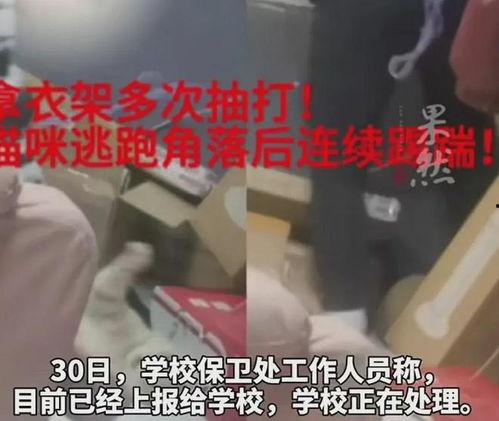 南京学生爆料事件视频最新,真相与争议交织的校园风云 第2张 南京学生爆料事件视频最新,真相与争议交织的校园风云 第2张