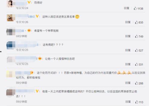 种草视频网友爆料,网友爆料背后的真实内幕