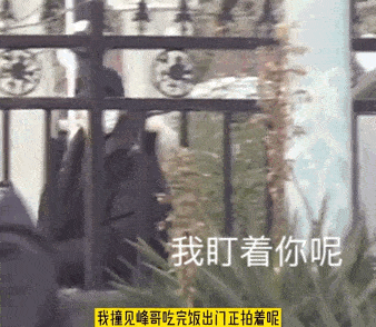 狗仔爆料无路可逃视频,无路可逃的明星隐私风暴