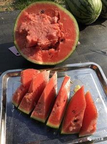 近期网红吃瓜视频,揭秘娱乐圈最新热点事件 第2张 近期网红吃瓜视频,揭秘娱乐圈最新热点事件 第2张